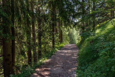 Alta Badia 'daki dağ yürüyüşü rotası, İtalyan Alpleri. Güzel doğal manzaralar.