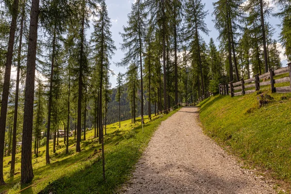 Bergwanderweg Alta Badia Italienische Alpen Schöne Naturlandschaften — Stockfoto