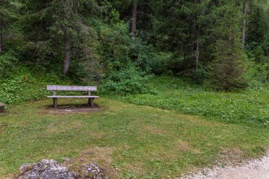 İtalyan Alpleri 'nin ormanlarında ahşap bank.