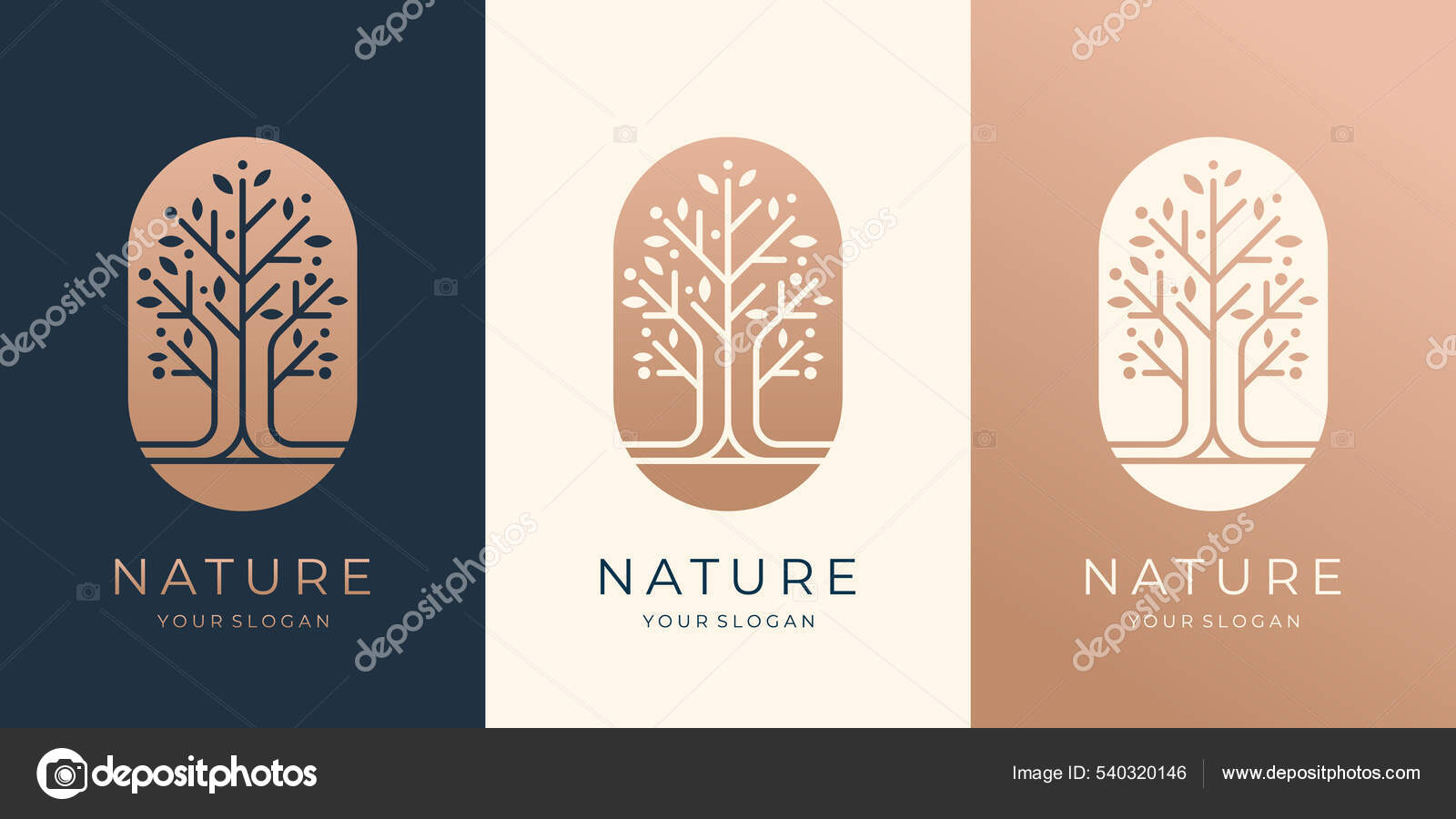 Premium Vector  Nature background vector