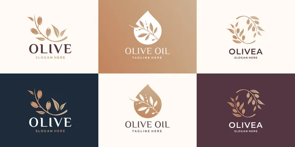Kreative Vorlage Für Das Olivenlogo Olivenöl Ätherisches Olivenöl Weibliche Schönheit — Stockvektor