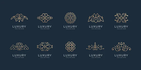 luxury line art style set design template. boutique concept, linear retro vintage, antique,ornament.