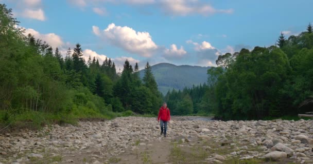 Турист з рюкзаком проходить через гірську долину — стокове відео