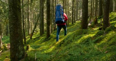 Sırt çantalı turist doğa gezisine çıktı.