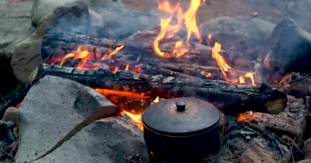 Ormandaki ateşin yanında melon şapka — Stok video