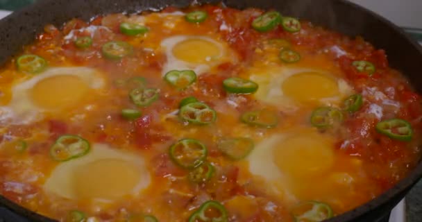 Œufs frits préparés dans une poêle avec des tomates — Video