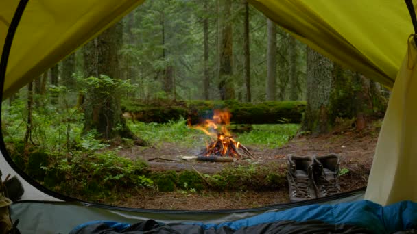 Uitzicht van een toeristische tent naar een kampvuur en een magisch bos — Stockvideo