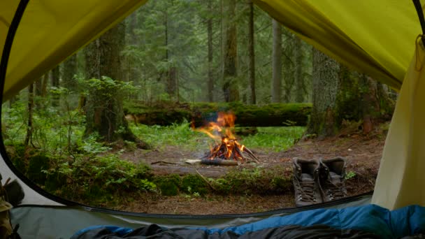 A view from a tourist tent to a bonfire and a magical forest — Stock Video