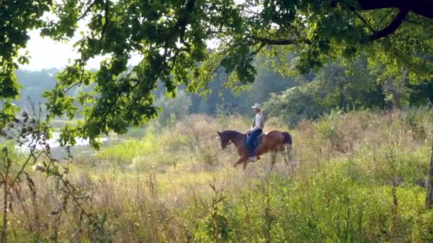 Vaquero americano a caballo en un césped del bosque — Vídeo de stock