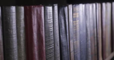 Büyük bir kitapçıdaki raflarda birçok kitap düzenlendi.