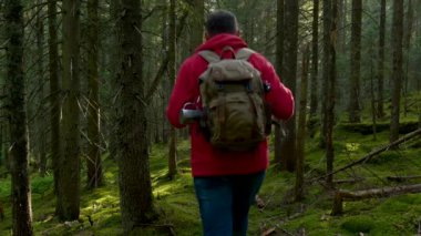 Güzel bir ormanda gezintiye çıkmış sırt çantalı bir turist.
