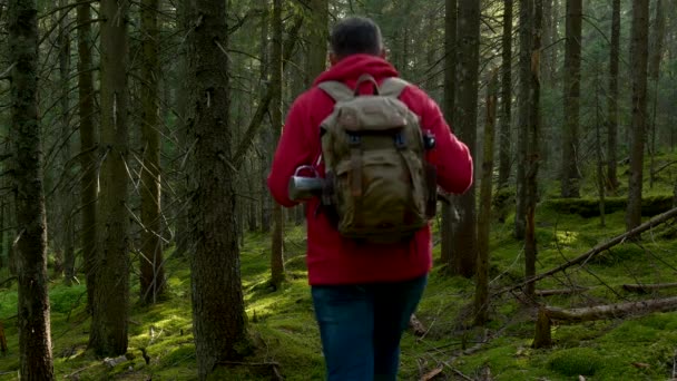 Туристичний хлопець з рюкзаком під час походу у пригодницьку подорож у прекрасному лісі — стокове відео