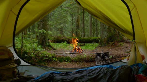 Blick aus einem Touristenzelt auf ein Lagerfeuer und einen Zauberwald — Stockvideo