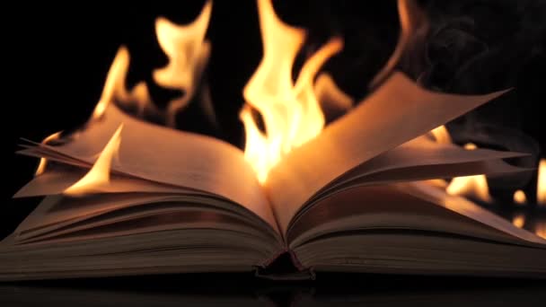 Книга в огне. — стоковое видео