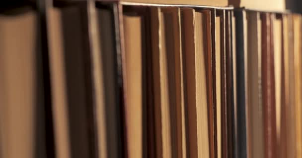 Muchos libros organizados en estanterías en una gran librería — Vídeo de stock