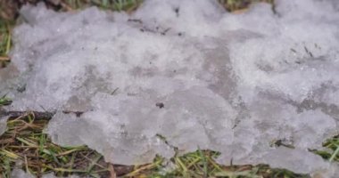 Parlak eriyen kar taneciklerinin makro hızlandırılmış görüntüsü sıvı suya dönüşüyor ve yeşil çimenler ve yapraklar ortaya çıkıyor.