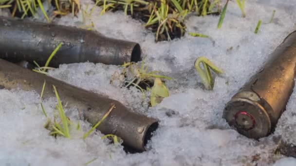 Macro time-lapse shot van glanzende smeltende sneeuwdeeltjes en onthulling van groen gras en machinegeweer munitie — Stockvideo