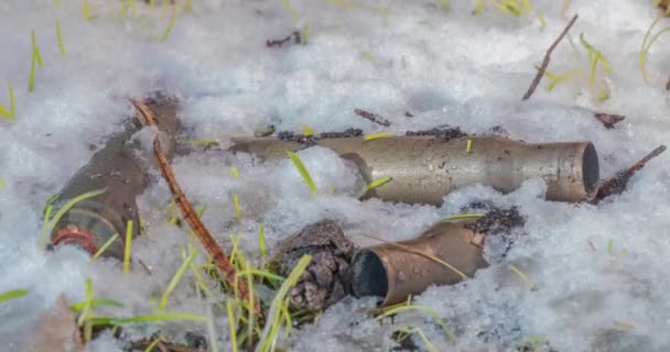 Macro toma de lapso de tiempo de partículas de nieve que se derriten brillantes y revelando hierba verde y munición ametralladora — Vídeos de Stock