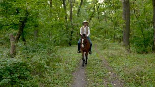 森の中で馬に乗って若いカウボーイ — ストック動画