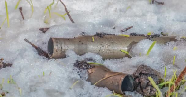 Macro time-lapse shot de brillantes particules de neige fondante et dévoilant herbe verte et mitrailleuse munitions — Video