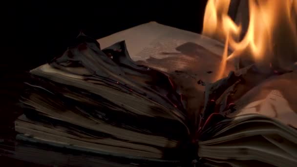 Buku ini terbakar. — Stok Video