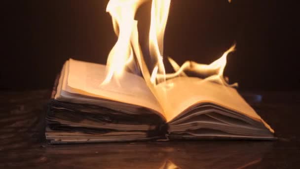 An open book is on fire — Stock Video