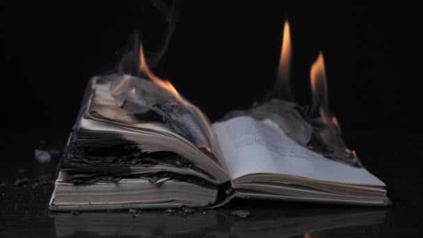 Книга горить — стокове відео