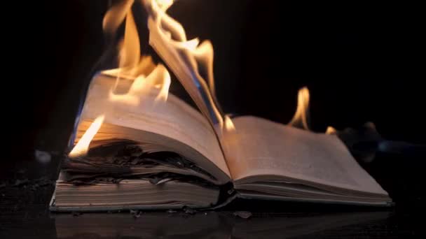 Książka jest w ogniu — Wideo stockowe