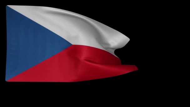 Nationella flagga Tjeckien — Stockvideo