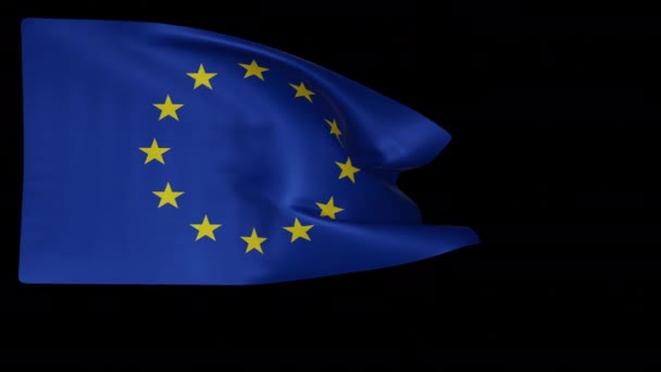 Europeiska unionens flagga — Stockvideo