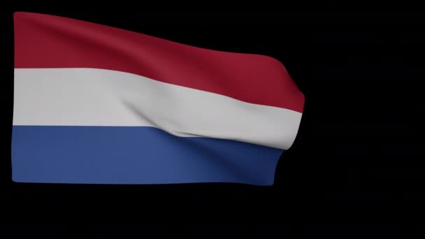 Bandera nacional de Países Bajos — Vídeo de stock