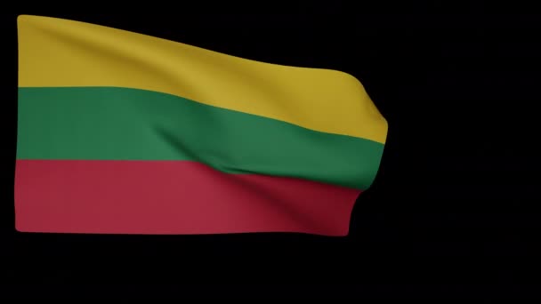 Drapeau national de Lituanie — Video