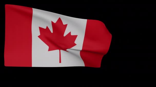 Bandeira nacional do Canadá — Vídeo de Stock