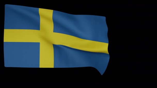 Nationella flagga Sverige — Stockvideo