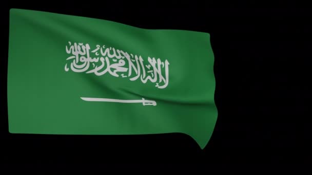 Bandeira nacional da Arábia Saudita — Vídeo de Stock