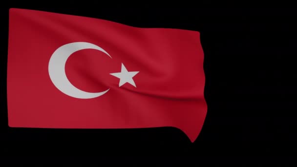 Bendera Nasional Turki — Stok Video