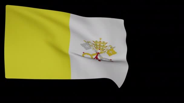 Die offizielle Flagge des Vatikans — Stockvideo