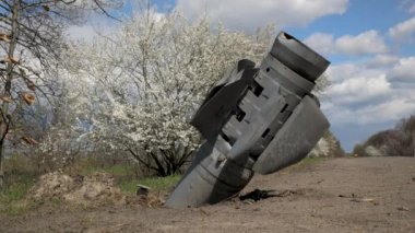 An unexploded military missile of the Russian army on the side of the road against the backdrop of a flowering tree