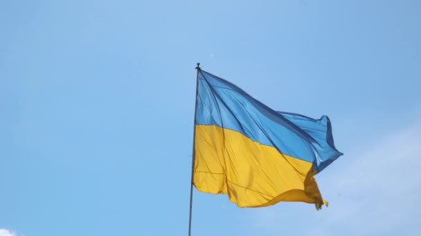 Ukrajinská vlajka vlaje proti modré obloze — Stock video
