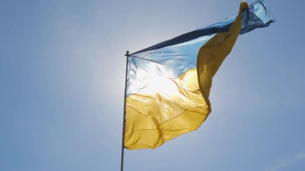 The Ukrainian flag flutters against the blue sky — Stock video