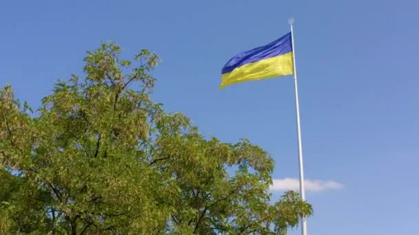 Bendera Ukraina Berkibar Melawan Langit Biru — Stok Video