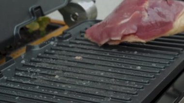 Lezzetli sulu ördek göğsü elektrikli ızgarada pişirilir. Elektrikli fırında ördek eti..