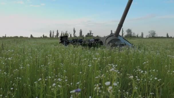 Los Restos Tanque Quemado Campo Cerca Kiev Hierba Flores Primavera — Vídeo de stock