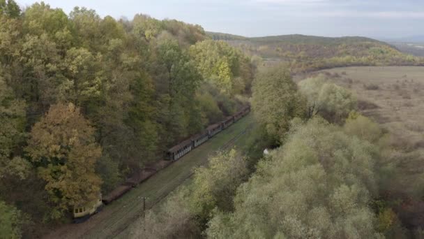 Demiryolu Raylarındaki Bir Trenin Hava Görüntüsü Dar Göstergeli Demiryolunun Eski — Stok video