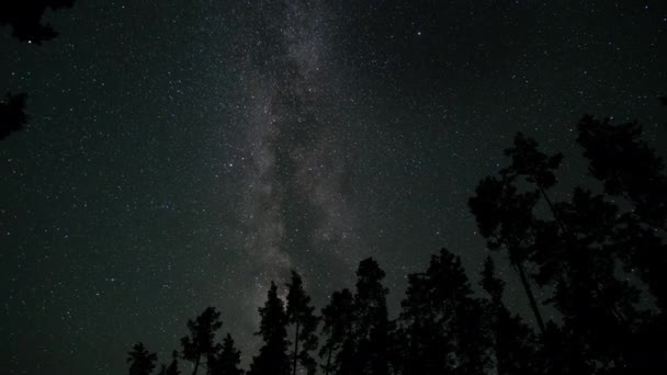 Timelapse Milky Way Galaxy Moves Silhouettes Trees Starry Night Background — Vídeo de Stock