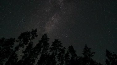 Timelapse of The Milky Way galaxy moves above the silhouettes of trees. Starry night background. Epic video 4K