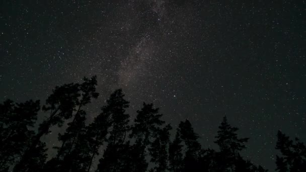 Timelapse Milky Way Galaxy Moves Silhouettes Trees Starry Night Background — Stok video