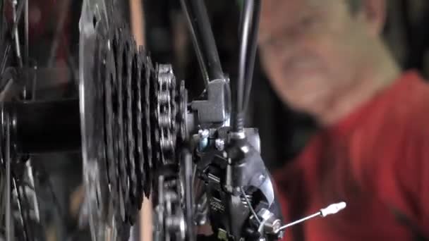 Bike Mechanic Man Repairs Bicycle Bicycle Repair Shop Bike Maintenance — Stock videók