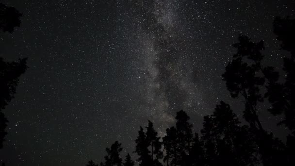 Timelapse Milky Way Galaxy Moves Silhouettes Trees Starry Night Background — Video
