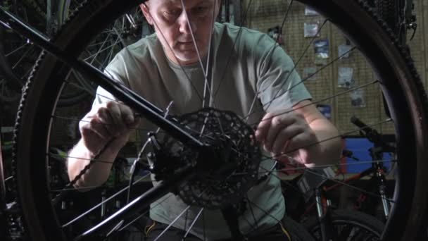 Bike Mechanic Man Repairs Bicycle Bicycle Repair Shop Bike Maintenance — Video